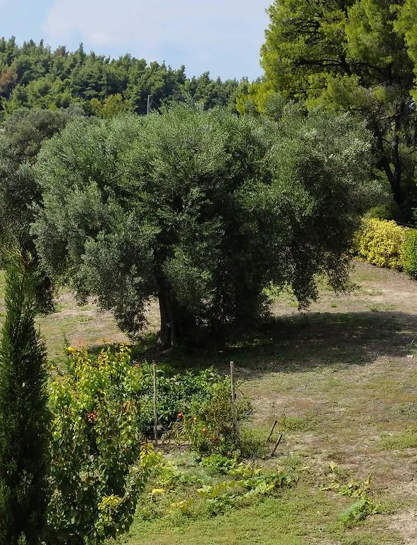 Olivos Villa Sani Sani